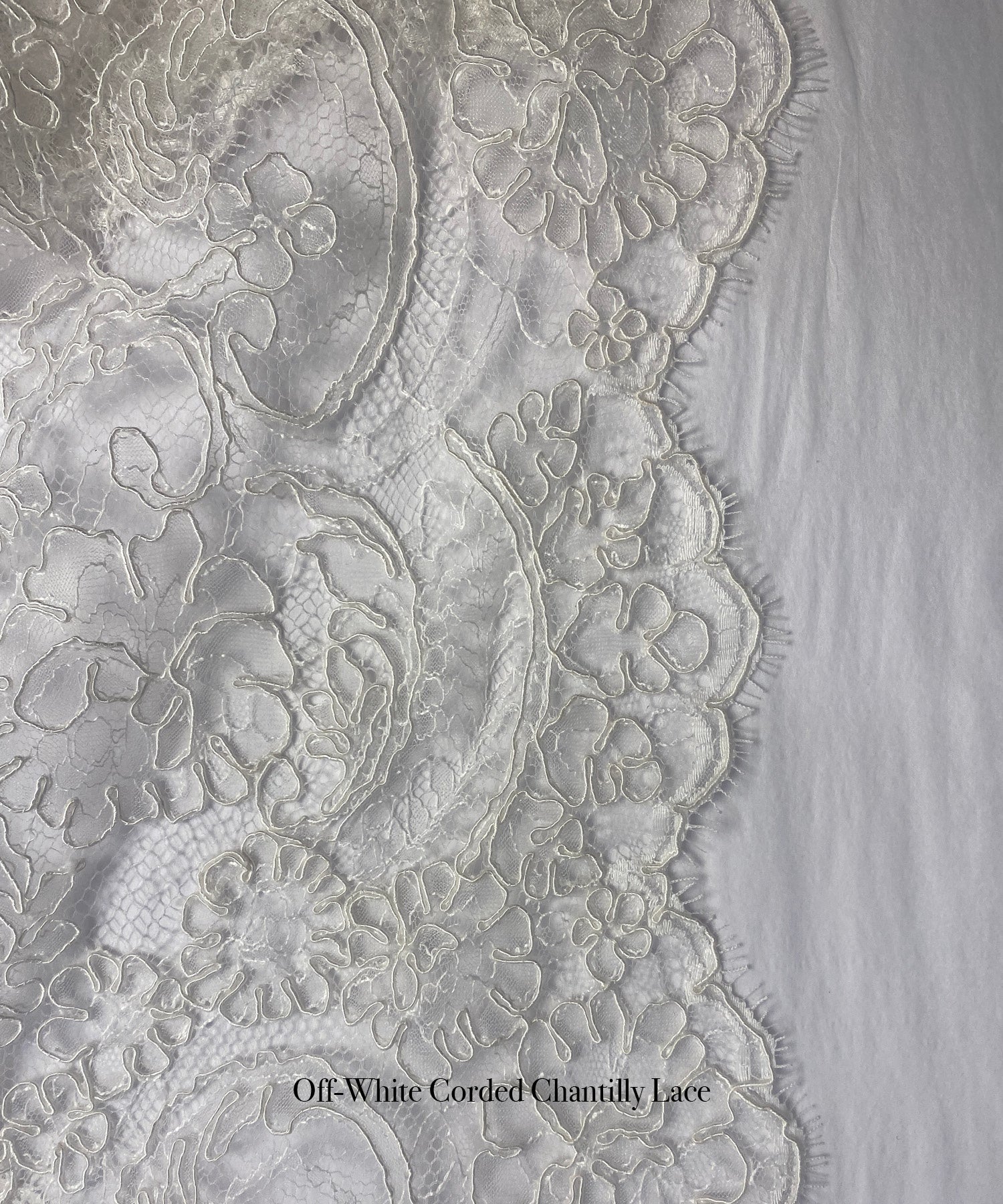 The Chantilly Bolero